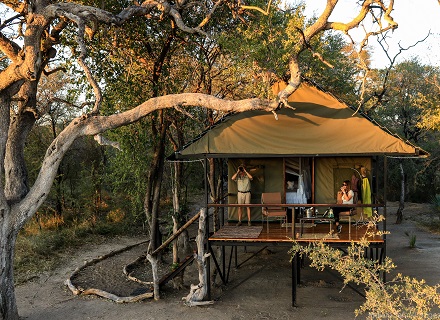 Saddlebill Tent